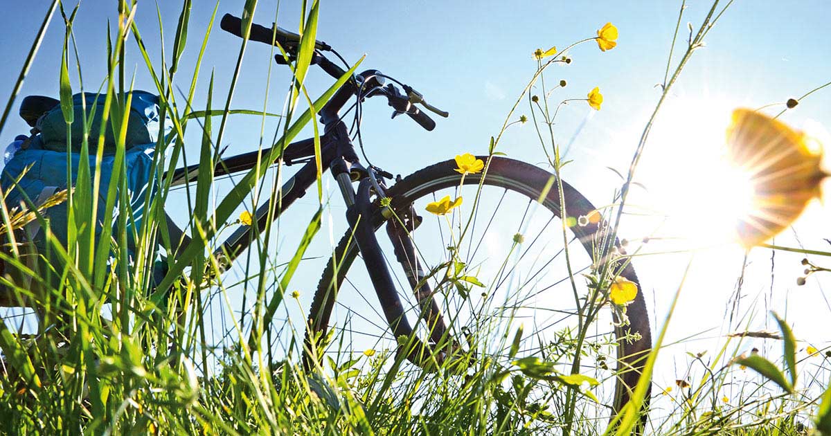 3 Steps to Soothe Seasonal Allergies