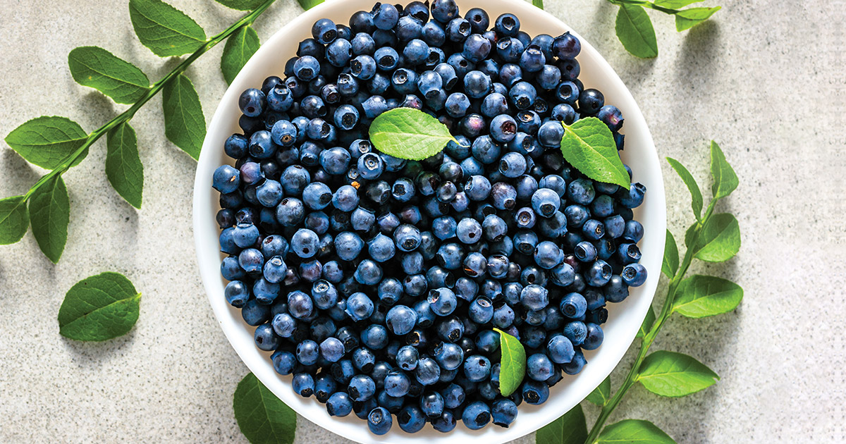 Bowl of Blueberries