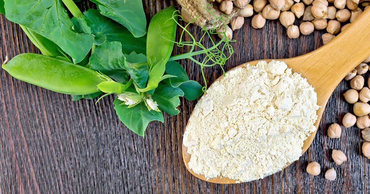 ProteinvsWhey_blog plant based protein